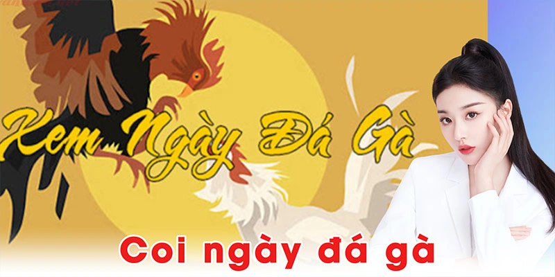 Coi ngày đá gà
