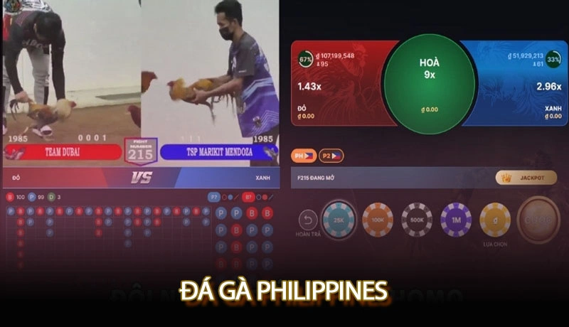 Đá gà Philippines trực tiếp